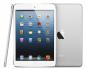 Apple iPad mini Wi-Fi - ข้อมูลจำเพาะ ข้อมูลขนาดและน้ำหนักที่ระบุในหน่วยวัดต่างๆ